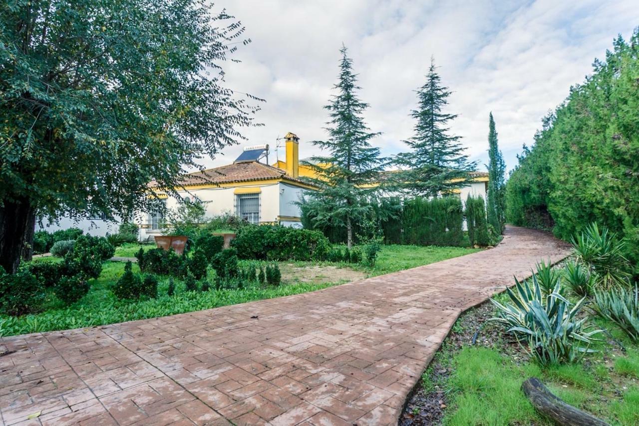 Ferienwohnung Casa Elizabeth Palomares del Río Exterior foto